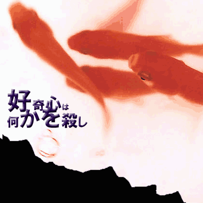 好奇心は何かを殺し